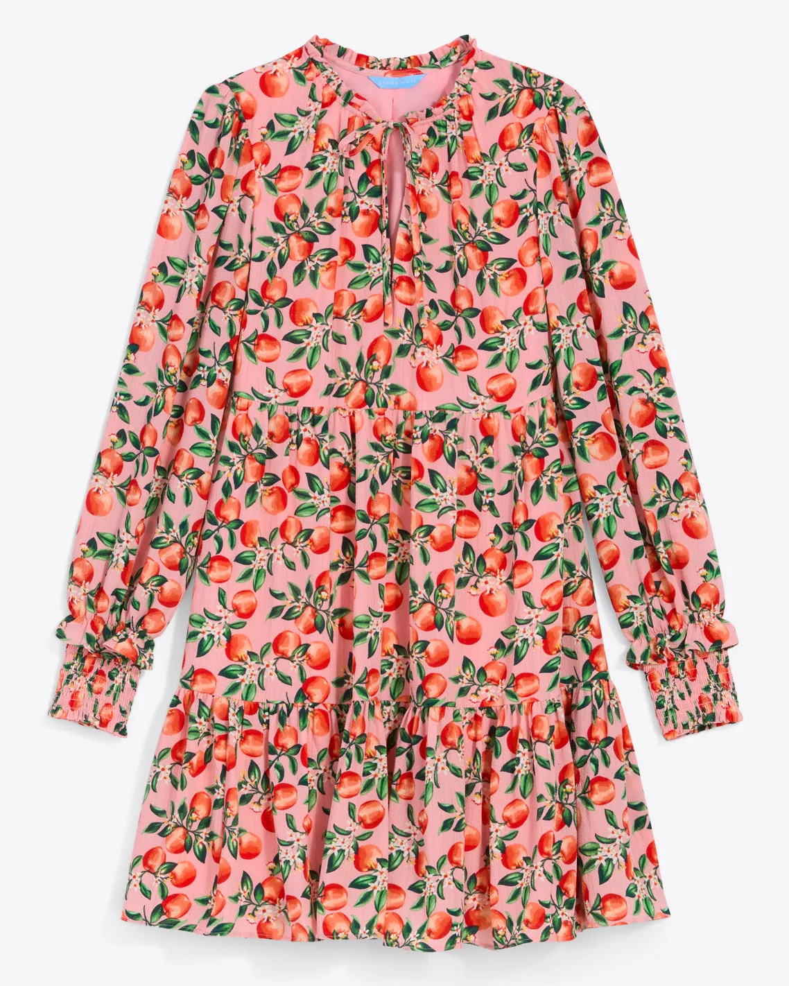 Connie Long Sleeve Mini Dress in Apple Blossom Floral