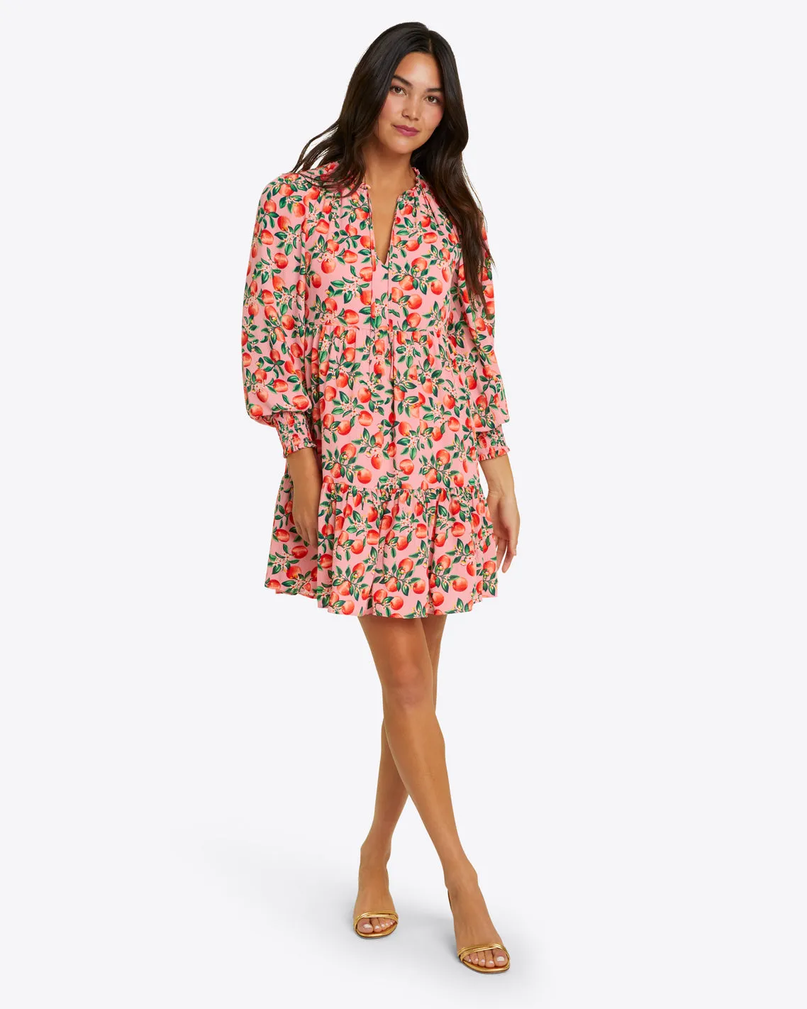 Connie Long Sleeve Mini Dress in Apple Blossom Floral