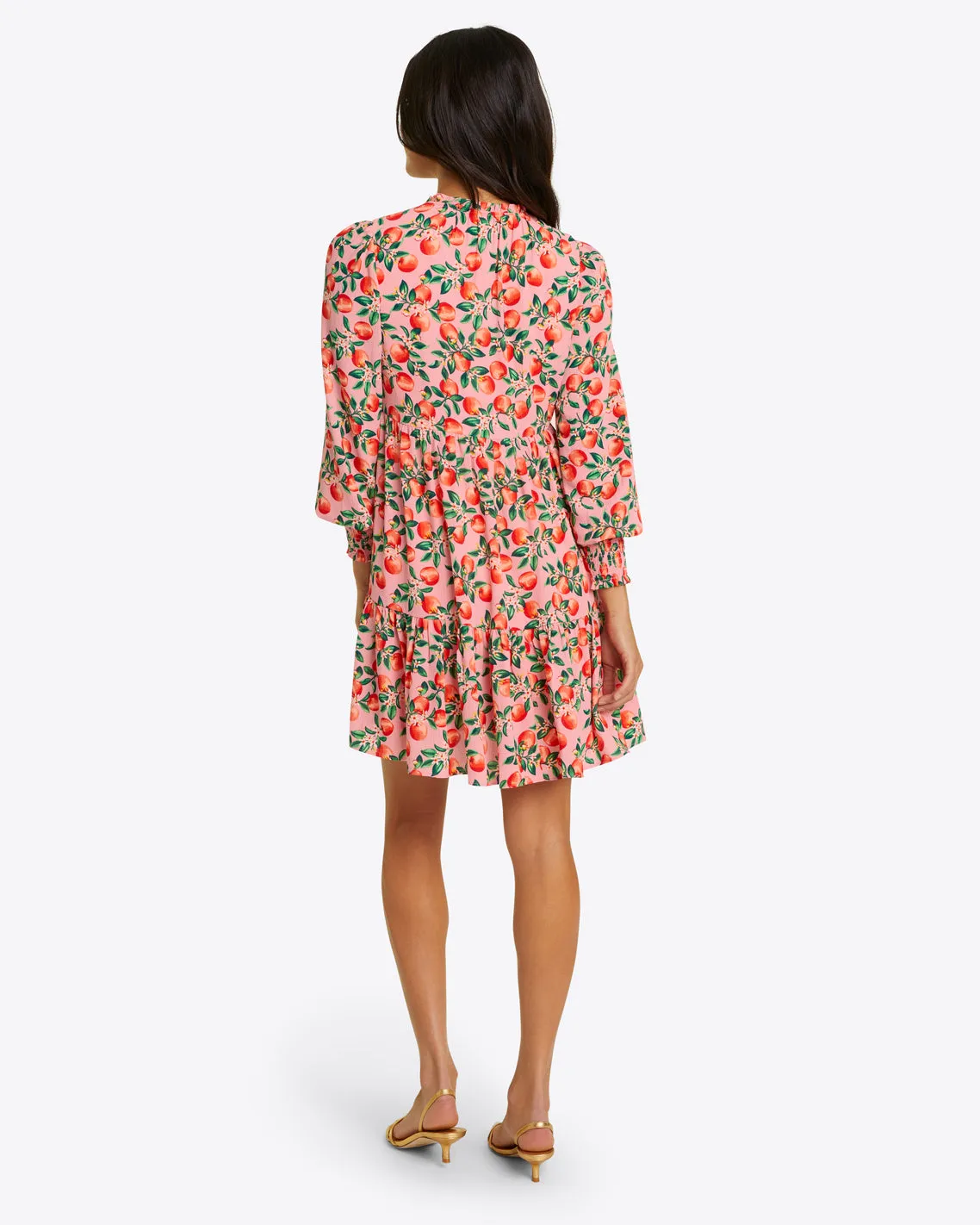 Connie Long Sleeve Mini Dress in Apple Blossom Floral