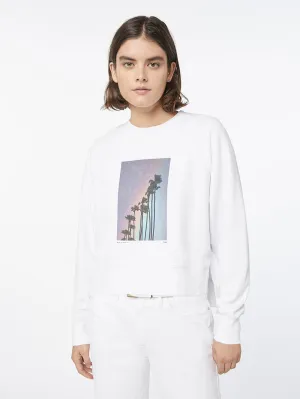 Rainbow Palm Sweatshirt -- Blanc