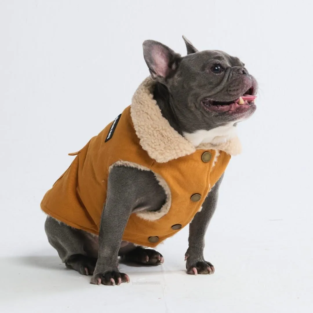 Workdog Insulated Utility Jacket Jackets